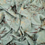 Aqua Vogue Goergette Fabric (Green, Abstract, Goergette)
