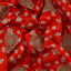 Merry Go Round Silk Fabric (Red, Gold, Silk)