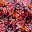 A Recital of Shades Georgette Fabric (Black,Pink & Orange on Georgette )