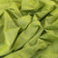 Summer Time Goodness Handloom Cotton Fabric (Green, Handloom Cotton)