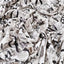 Vogue Alert Crepe Fabric (Black, White, Magazine, Newspaper, Crepe)